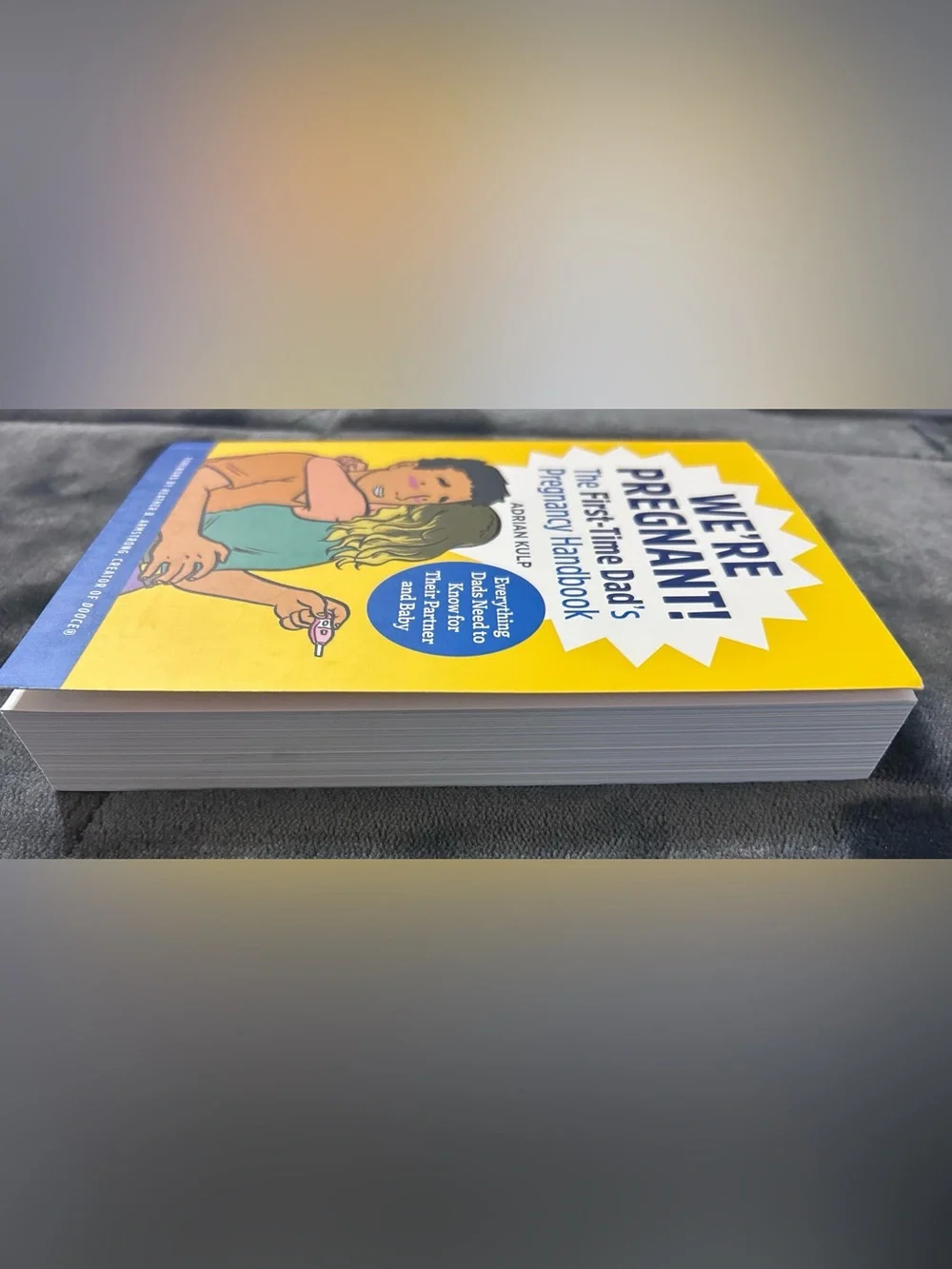 We're Pregnant! The First Time Dad's Pregnancy Handbook (Paperback)